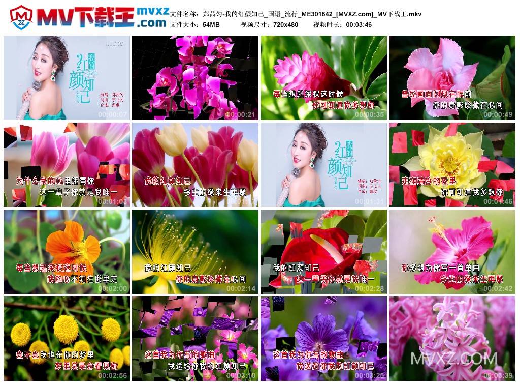 郑茜匀-我的红颜知己_国语_流行_ME301642